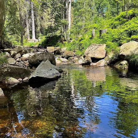 Apartment Harzer Traum - Renoviert, Inklusive Waesche Und Wlan *