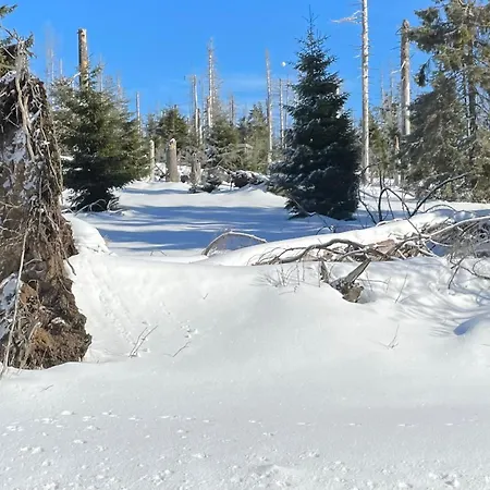 Harzer Traum - Renoviert, Inklusive Waesche Und Wlan Apartment *