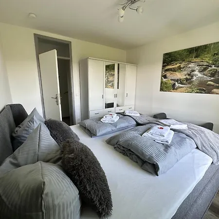 Harzer Traum - Renoviert, Inklusive Waesche Und Wlan *