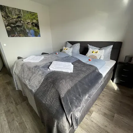 Harzer Traum - Renoviert, Inklusive Waesche Und Wlan Apartment