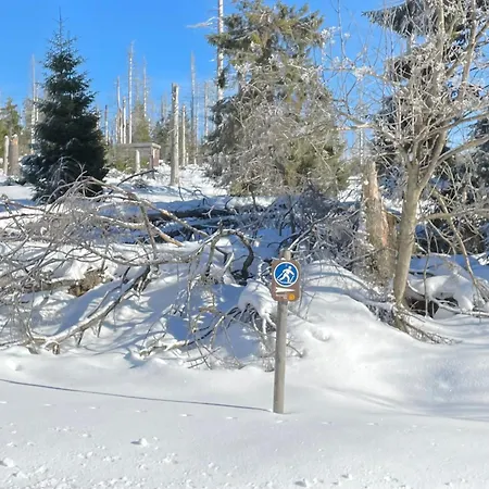 Harzer Traum - Renoviert, Inklusive Waesche Und Wlan * Braunlage
