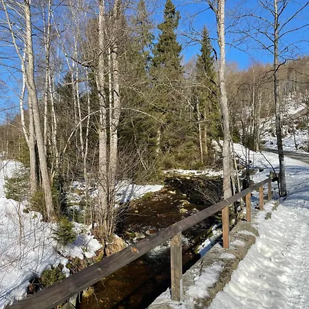 Harzer Traum - Renoviert, Inklusive Waesche Und Wlan