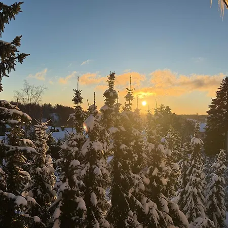 Harzer Traum - Renoviert, Inklusive Waesche Und Wlan Apartment Braunlage