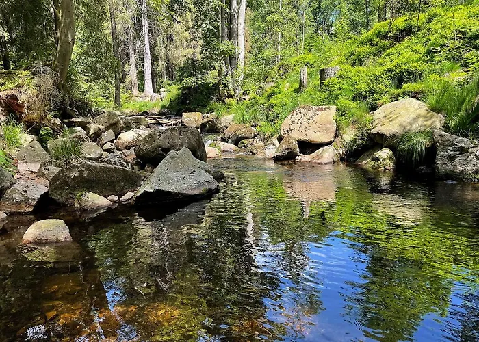 公寓 Harzer Traum - Renoviert, Inklusive Waesche Und Wlan *