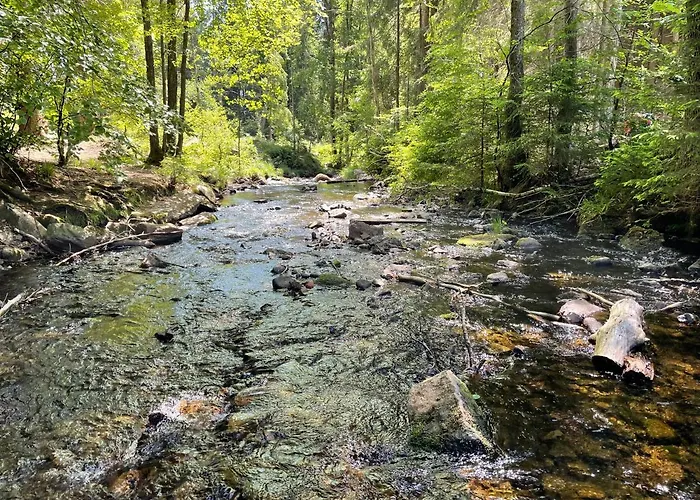 Harzer Traum - Renoviert, Inklusive Waesche Und Wlan * ブラウンラーゲ