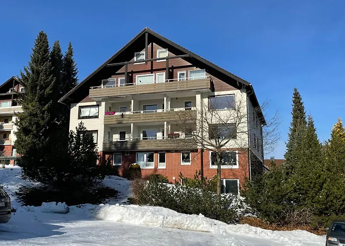 Harzer Traum - Renoviert, Inklusive Waesche Und Wlan * 布劳恩拉格