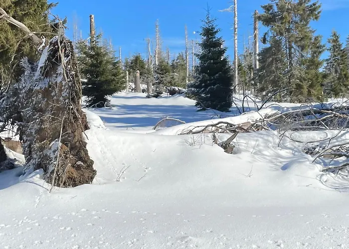 Harzer Traum - Renoviert, Inklusive Waesche Und Wlan 公寓 *