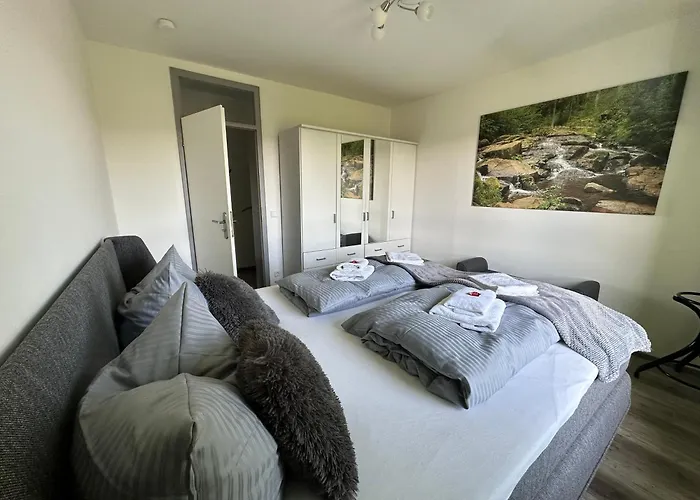 Harzer Traum - Renoviert, Inklusive Waesche Und Wlan *