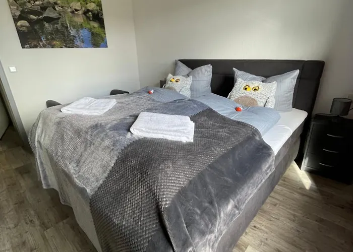 Harzer Traum - Renoviert, Inklusive Waesche Und Wlan 公寓