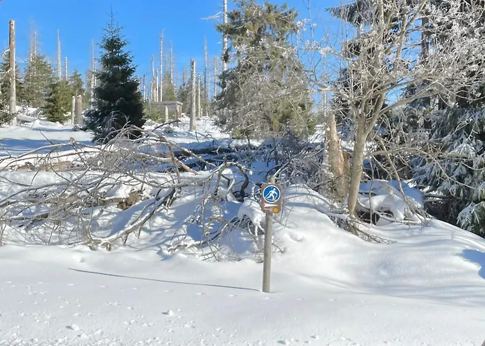 Harzer Traum - Renoviert, Inklusive Waesche Und Wlan * 布劳恩拉格