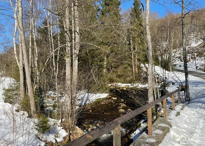 Harzer Traum - Renoviert, Inklusive Waesche Und Wlan