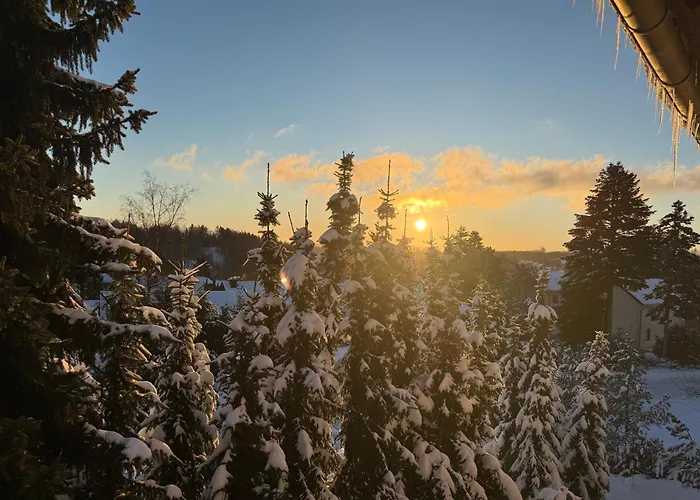 Harzer Traum - Renoviert, Inklusive Waesche Und Wlan アパート ブラウンラーゲ